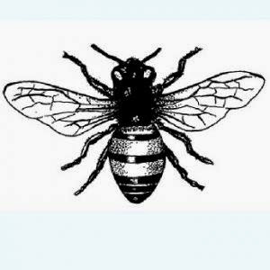StampingMathilda: Art Journey - Honey Bee