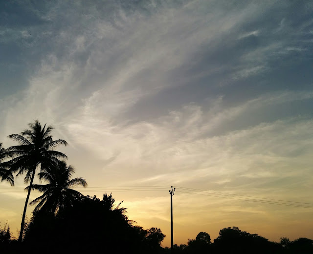 evening sky sunset birds