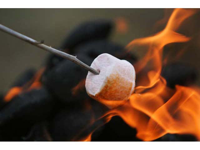 Image result for [pictures of burnt marshmallows