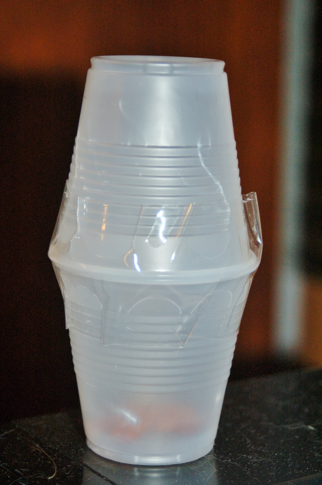 Super Simple Shaker A CHEAP Way to Make Music (Or Noise!)