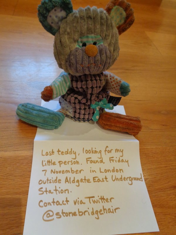 Help Miss Teddy Find Her Family!