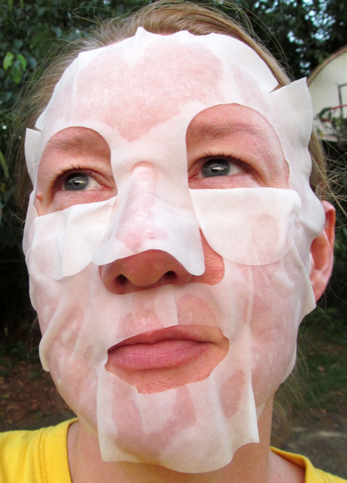 Bon Vivant Beauty DHC's AlphaArbutin White Mask