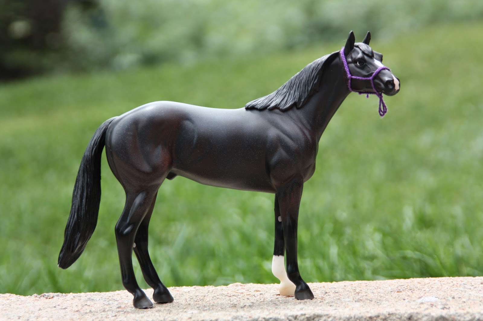 Bits and Spurs DIY Rope Halter Tutorial