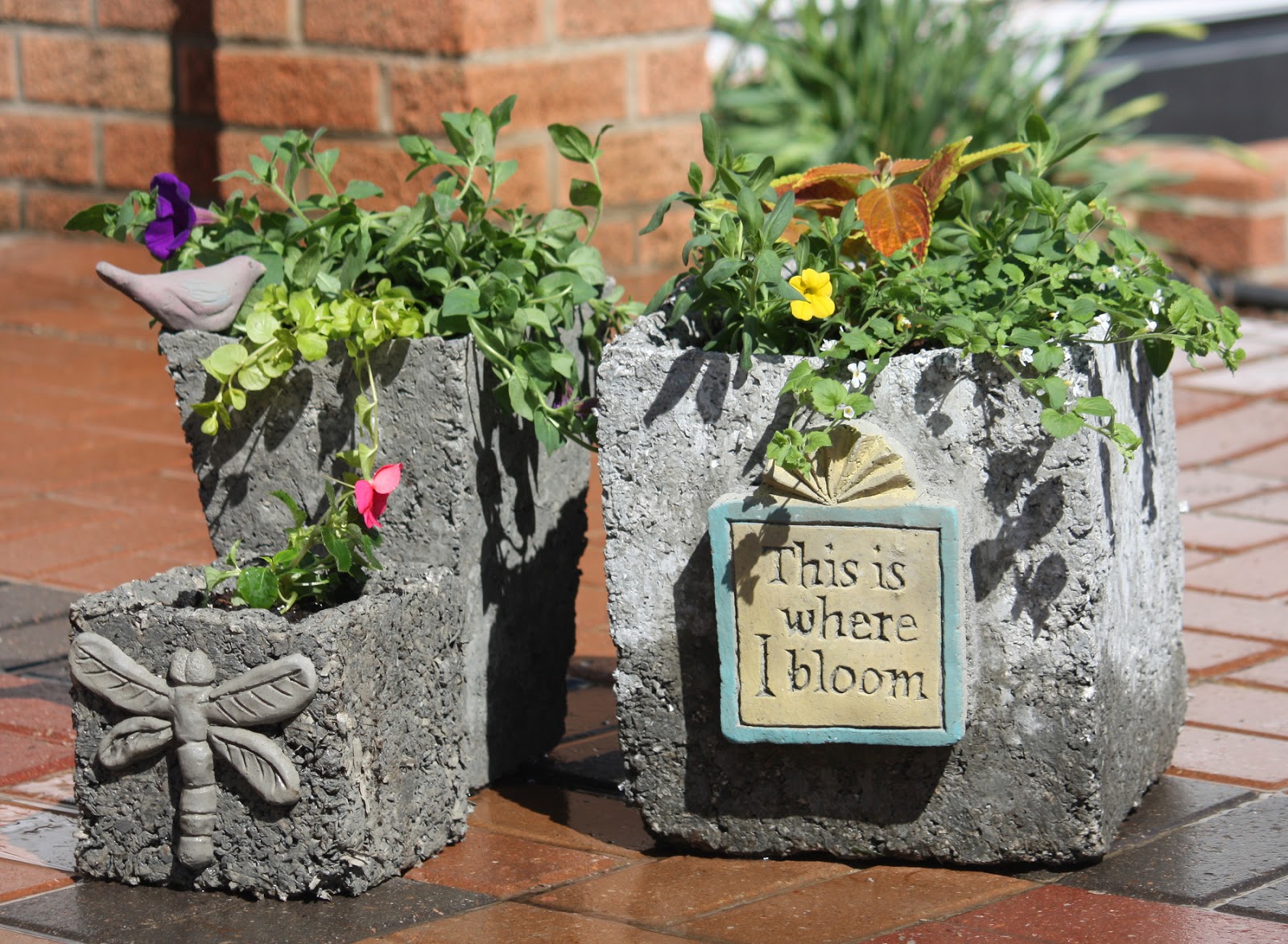 from the summer's garden: need graduation gift ideas? go creative from the summer's garden: need graduation gift ideas? go creative