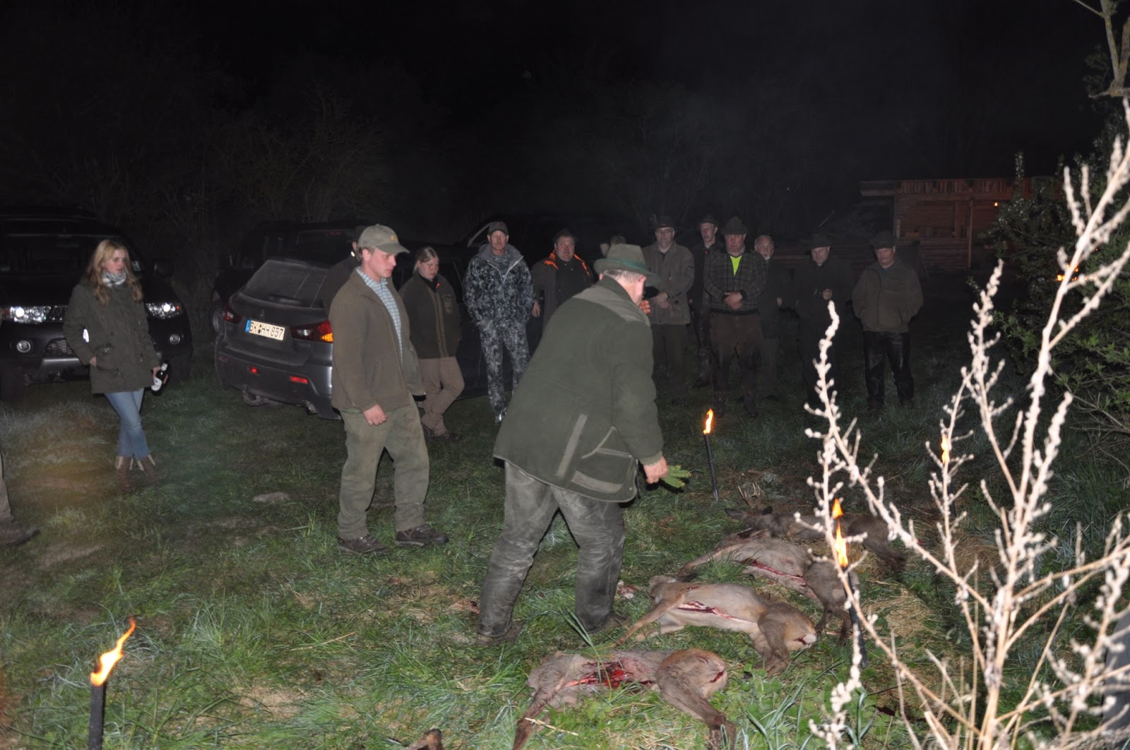 DIIZCHE SAFARI ADVENTURES Blog Roe Deer Hunting in GermanyAn American
