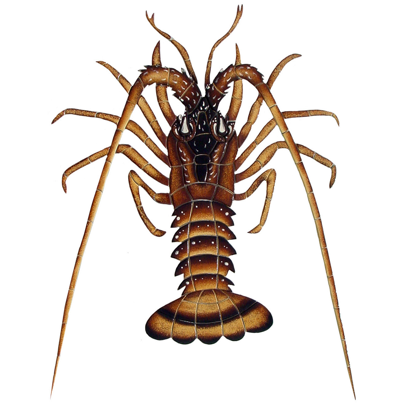 Florida Lobster Season