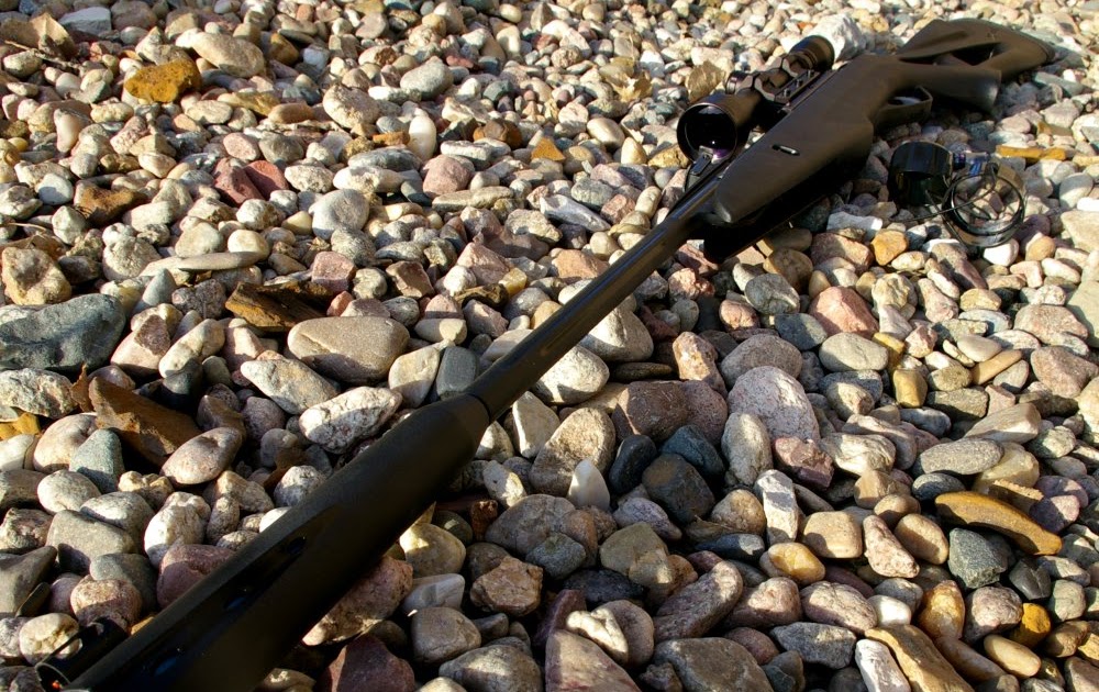 Gamo Silent Stalker Whisper .22 Cal Air Rifle Review