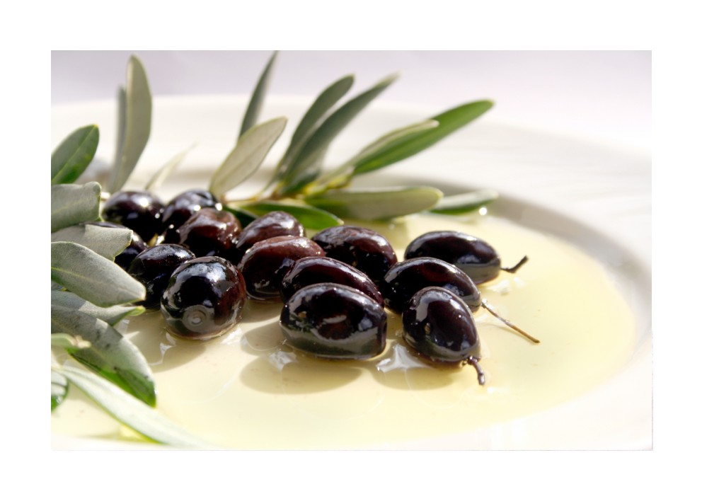 The Life Extension Blog The Secret Behind the Health Benefits of Olive