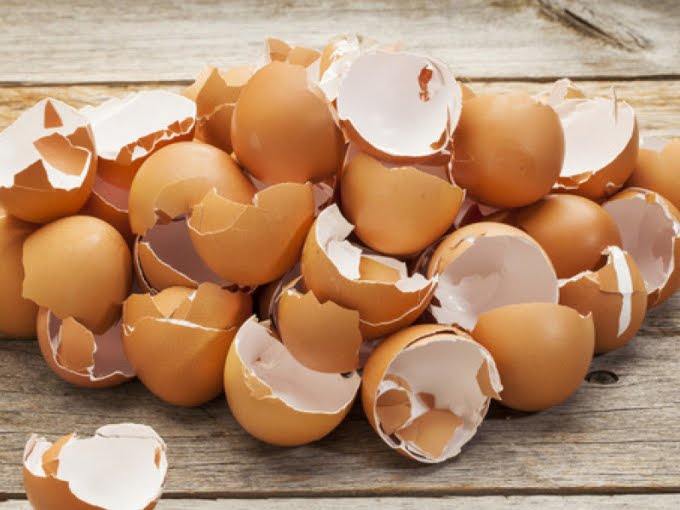5 причин не выбрасывать яичную скорлупу