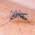 Colômbia emite alerta de expansão do vírus zika