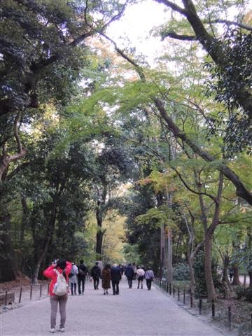 漫步在人間 13京都賞楓行 在下鴨神社巧遇新人婚攝 同場加映 鴨川跳烏龜