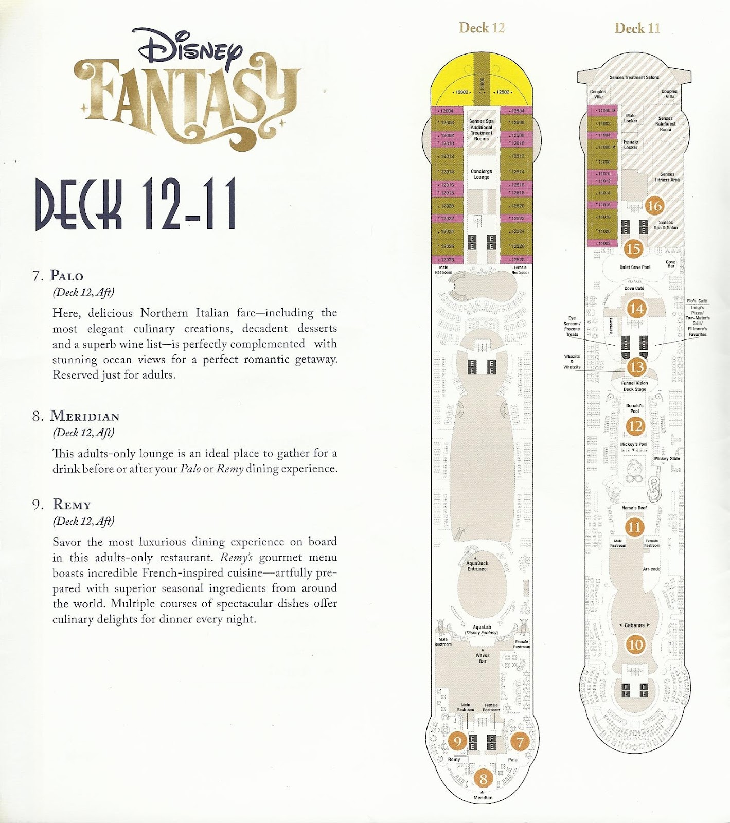 Disney Vacation Kingdom Disney Fantasy Inaugural Ship Map