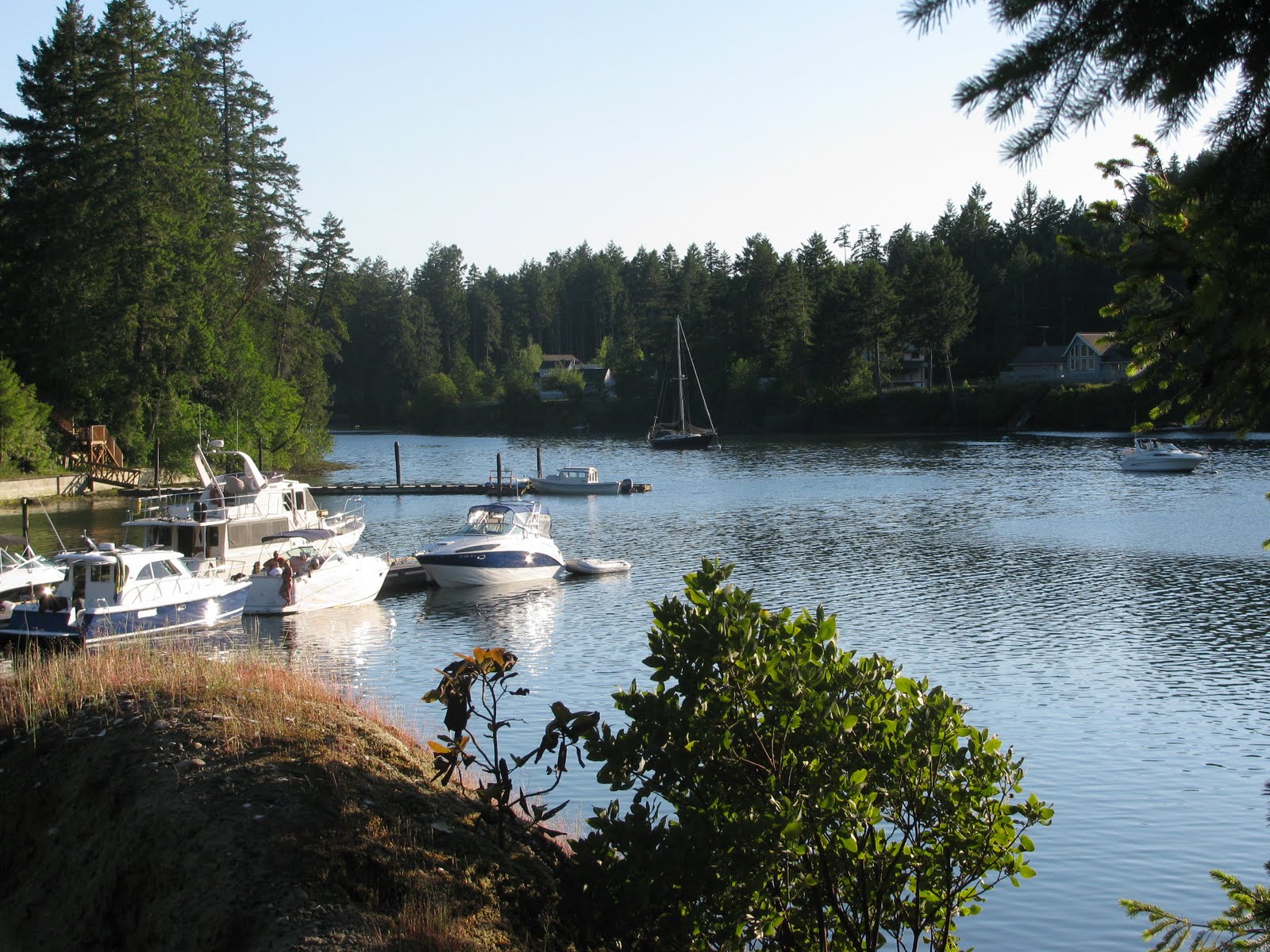 Beautiful Washington State Jarrell Cove State Park (on Harstine Island