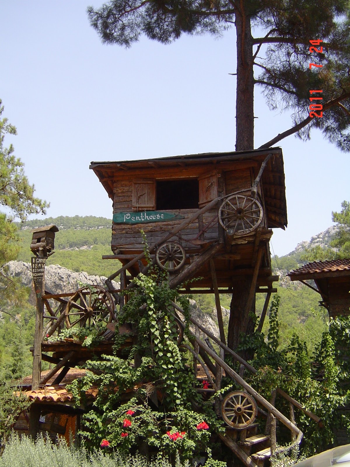 Antalya Olympos(Olimpos) Agaç Evler Gezgin Günlüğü