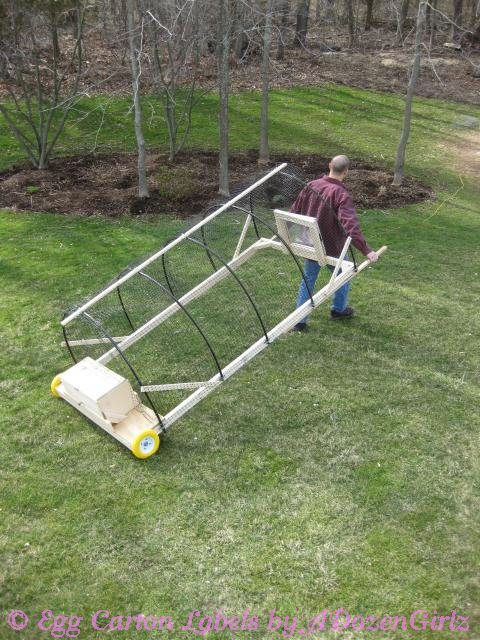 The Chicken ChickĀ®: Chicken Tractor