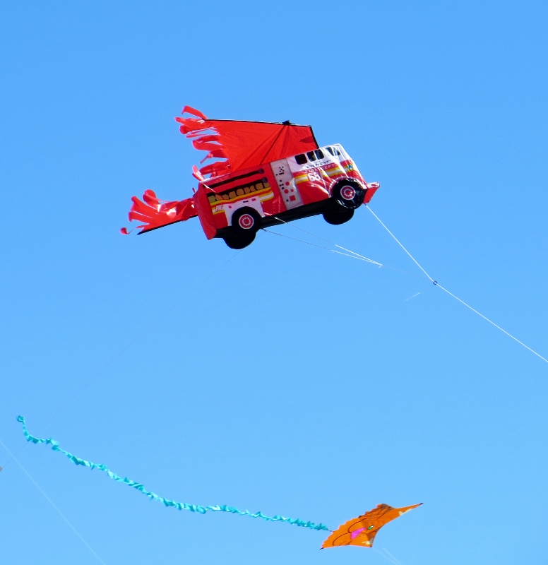 Travel Bug Go Fly a Kite! Sun., Mar. 3