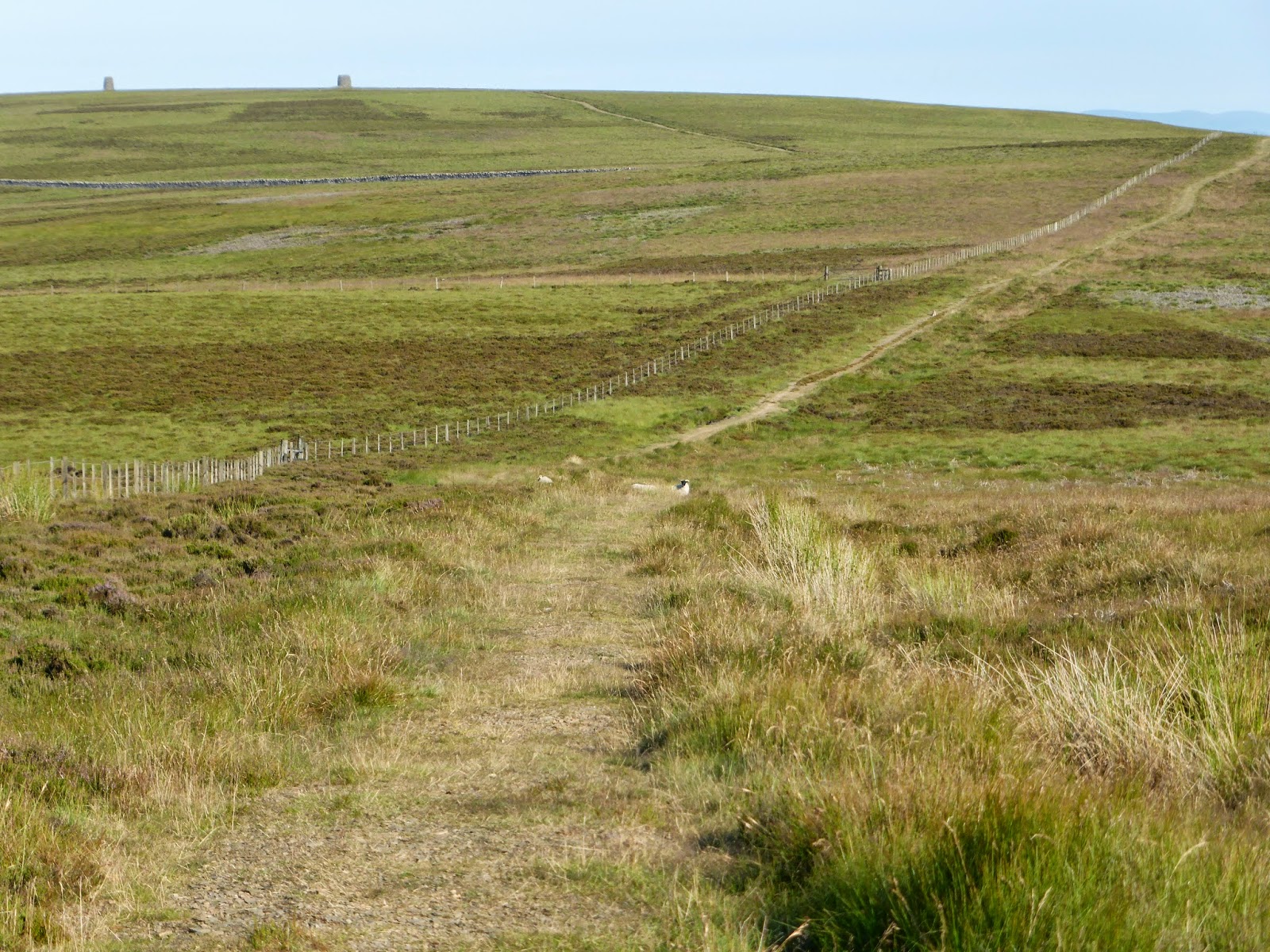 MTB Innerwick Stravaiger The 'Herring Road'