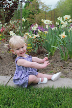 Avery 12 Months