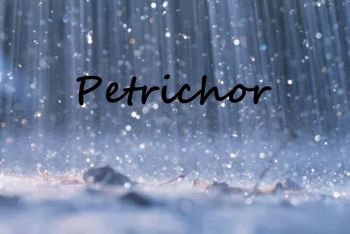 Those nice smells called Petrichor