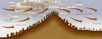 Fuente: http://www4.tecnun.es/asignaturas/Ecologia/Hipertexto/03AtmHidr/03-4Foe.jpg