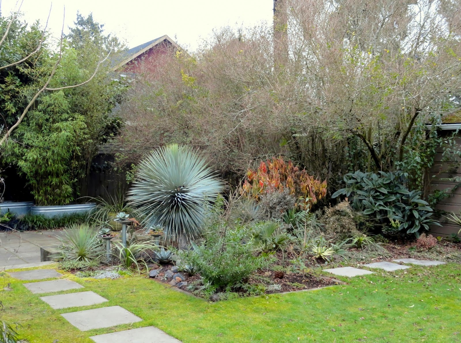 Pin On Shade Garden