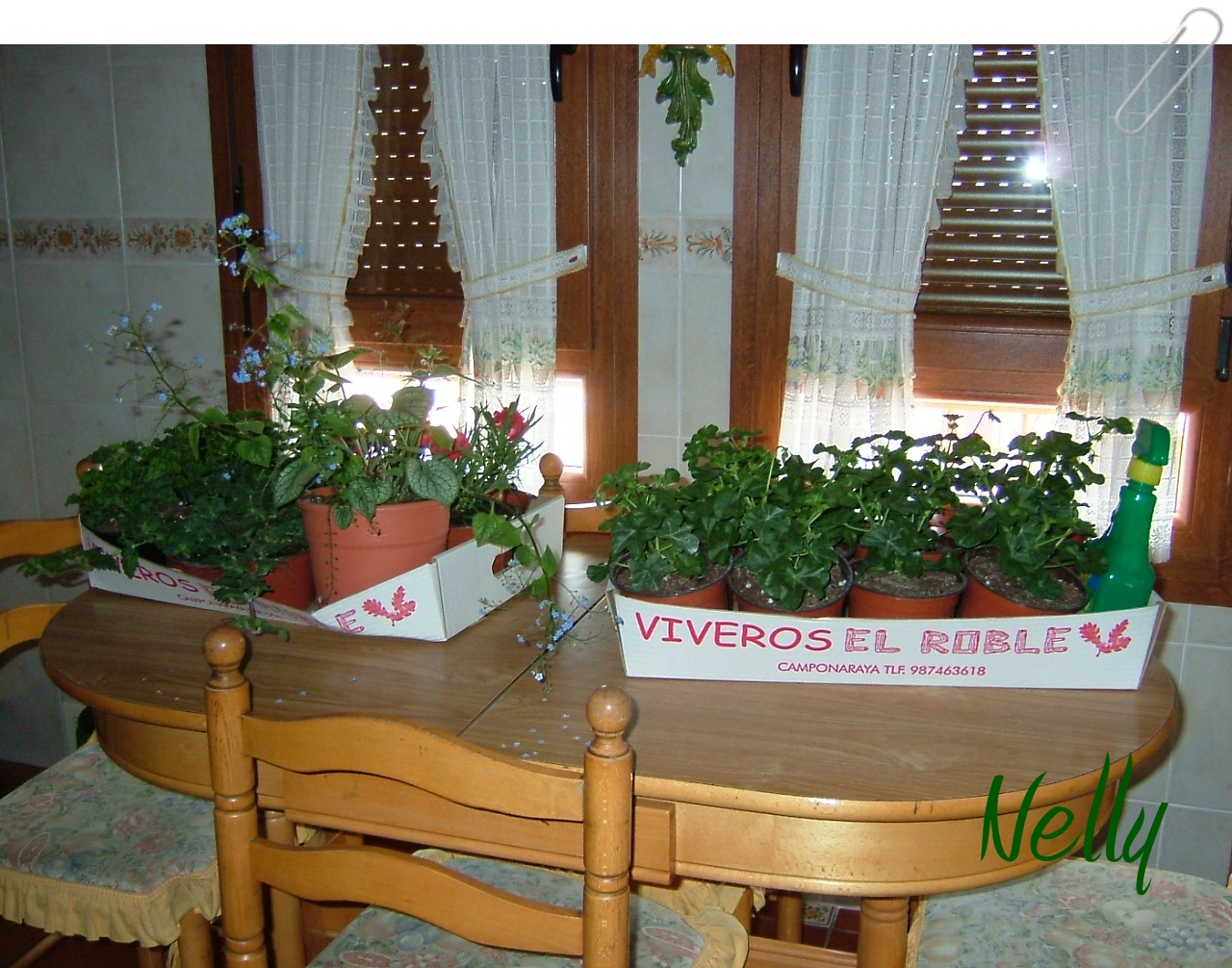 Misceláneas cristall: mayo 2011