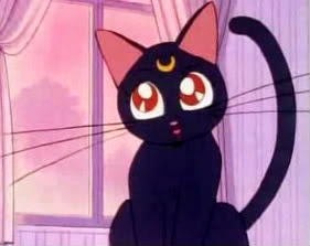 les gardiens des sailors, luna, artémis et diana les gardiens des sailors, luna, artémis et diana, chat, lune, sailor moon