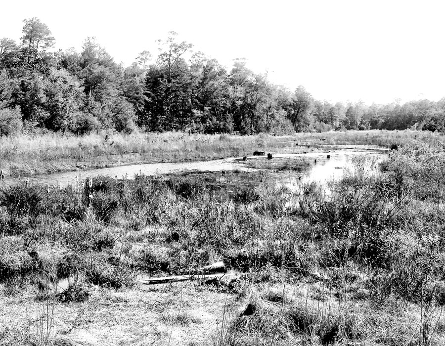 Another pic of Fred Gannon Rocky Bayou State Park - May 2013 - That Rehcy Chic