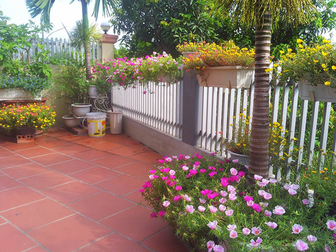 [Image: ngoi-nha-no-hoa-muoi-gio-dep-3.jpg]