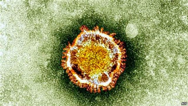 مفاهيم حديثة: فيروس كورونا (متلازمة الشرق الأوسط التنفسية)