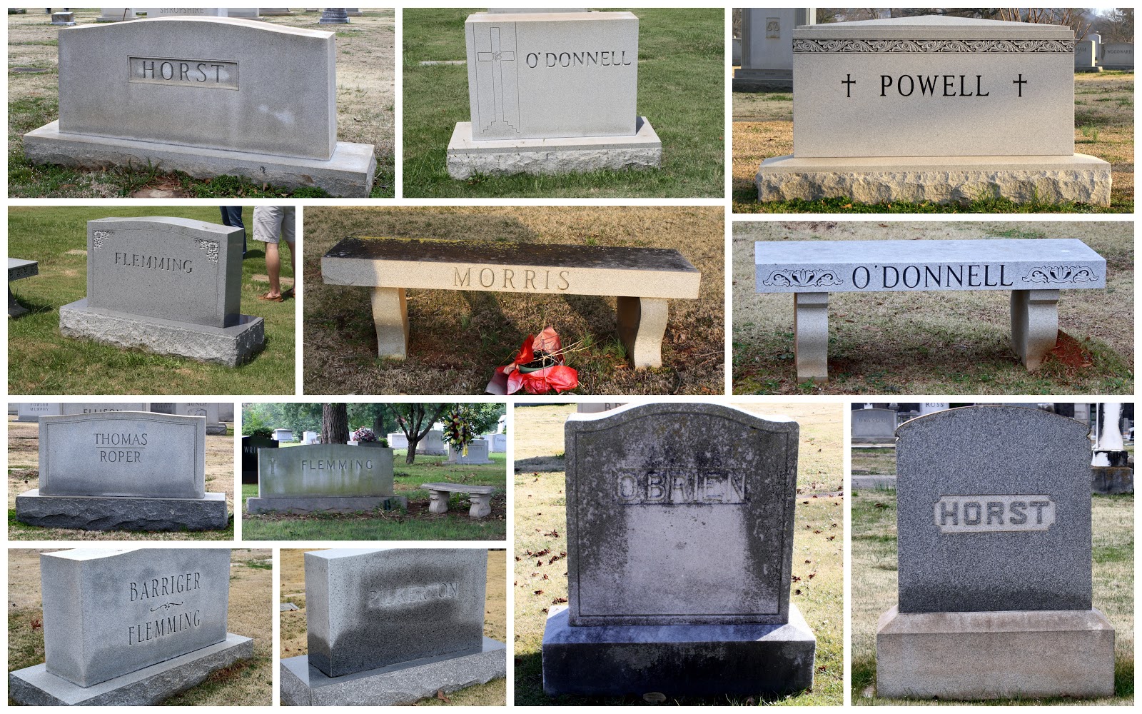 Climbing the Branches of My Family Tree SATURDAY'S STRUCTURE Elmwood