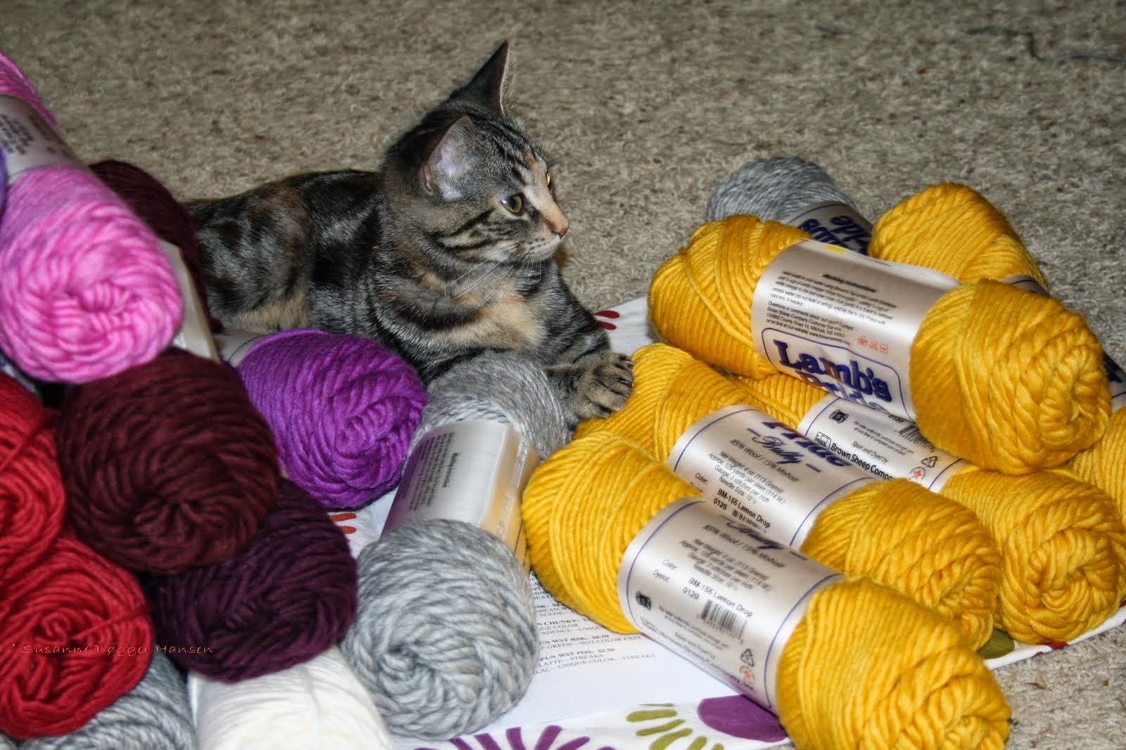 Another yarn lover