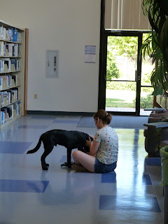 This is a long distance shot of Coach and one of our student library proctors having a quiet moment. She is sitting and he is getting his ears rubbed. This is a long distance shot of Coach and one of our student library proctors having a quiet moment. She is sitting and he is getting his ears rubbed.