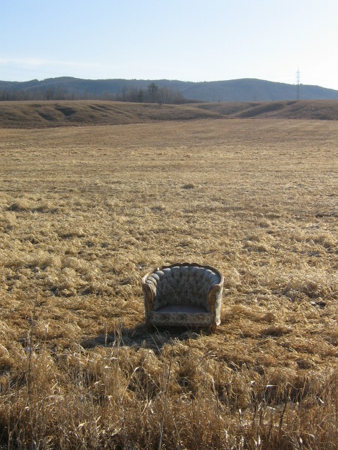 Chair In Field