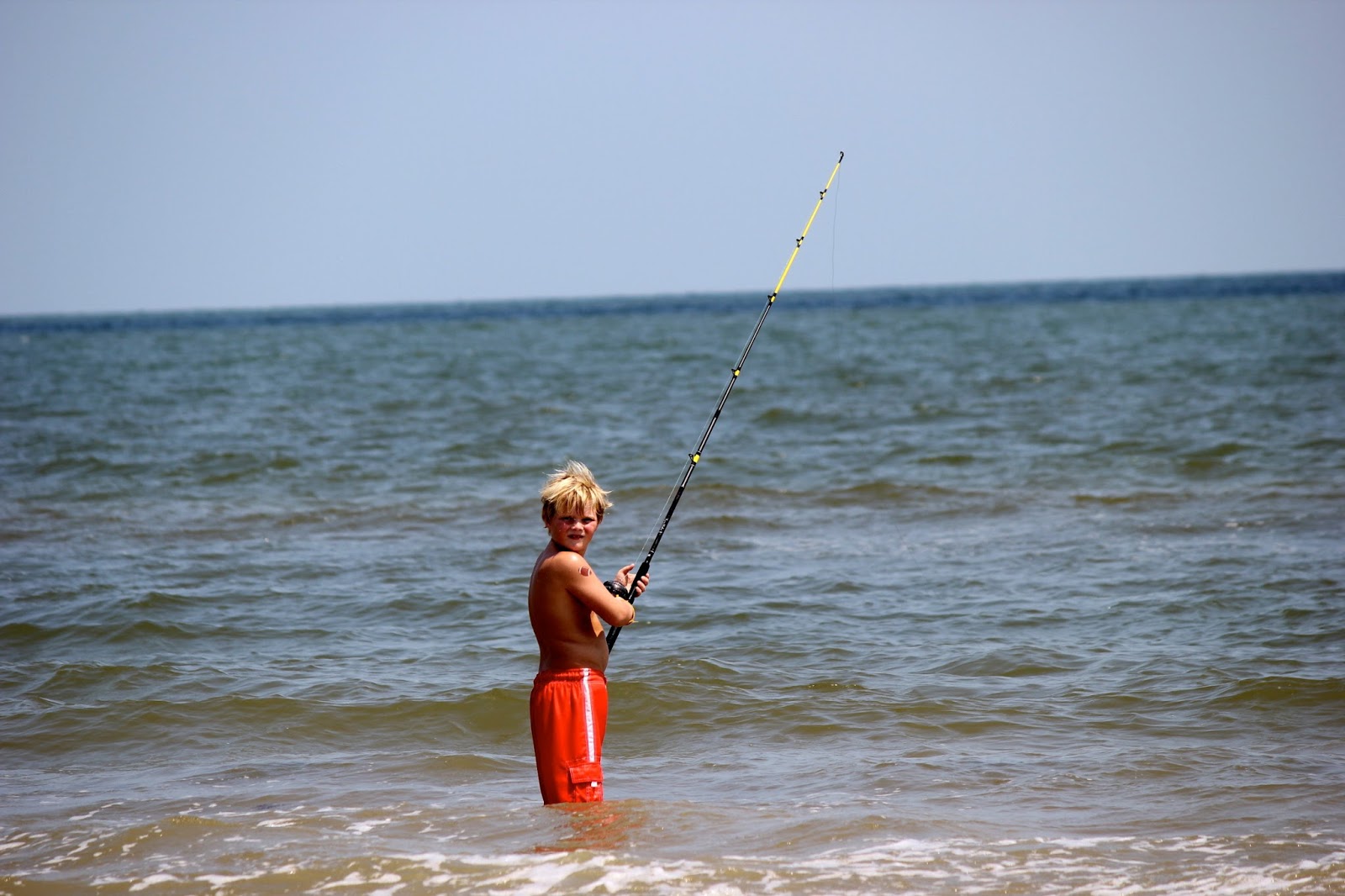 BUNCH OF ORANGES: "Did Sally Really Sell Seashells By The SeaShore?"