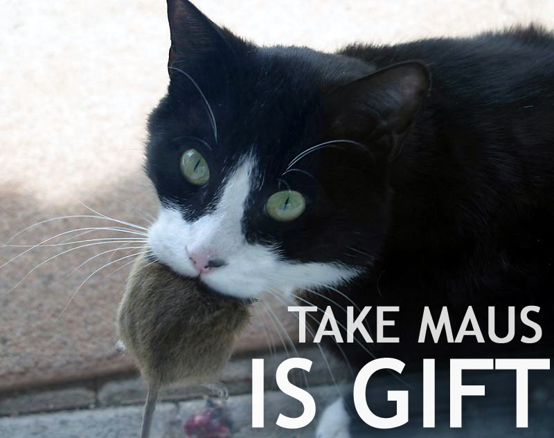 Cat Scratching War Meme Cat Scratching War Meme