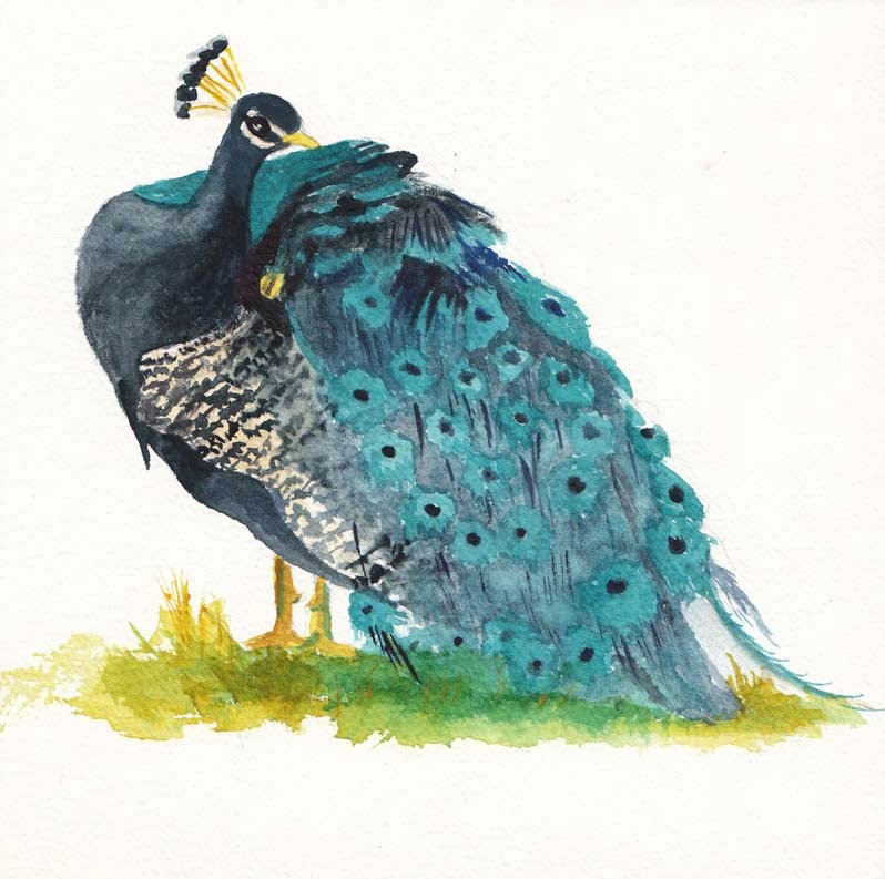 Peacock Watercolor Painting
