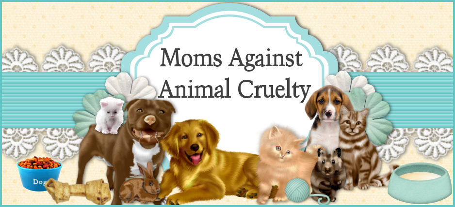 Moms Against Animal Cruelty