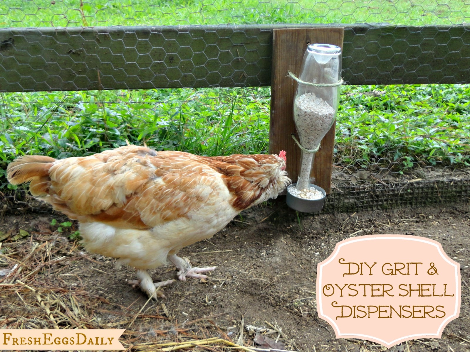 DIY Wine Bottle Chicken Grit & Oyster Shell Dispenser Tutorial Fresh