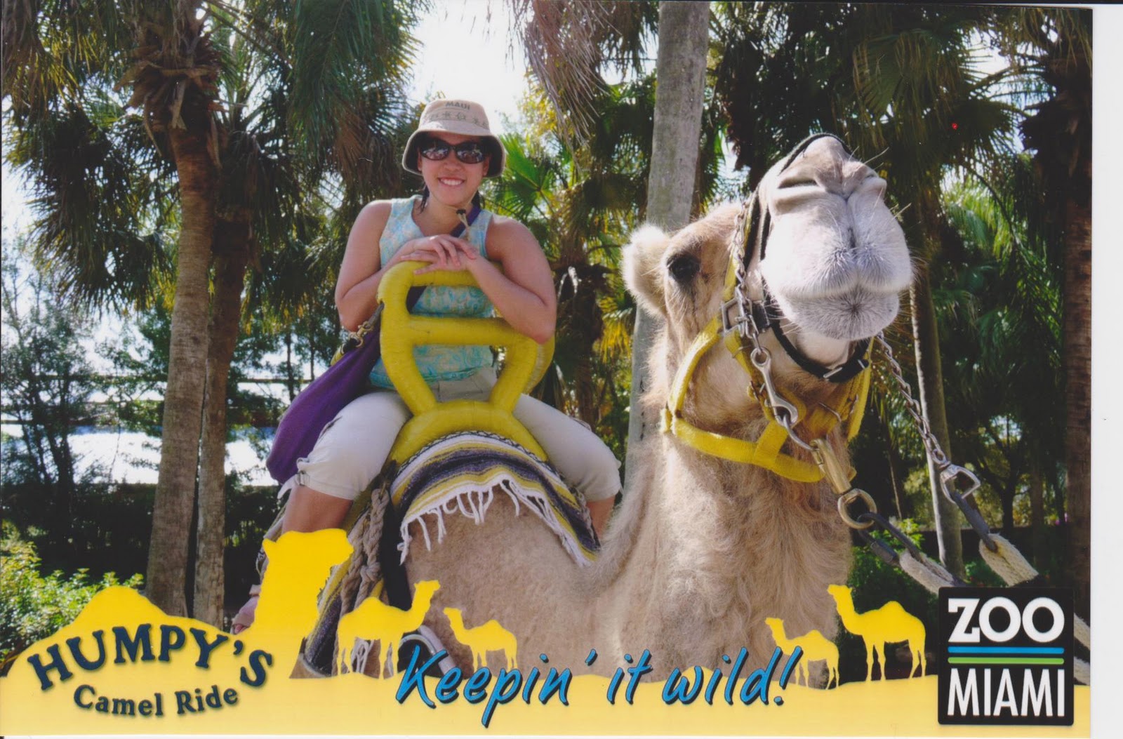 Counting Camels
