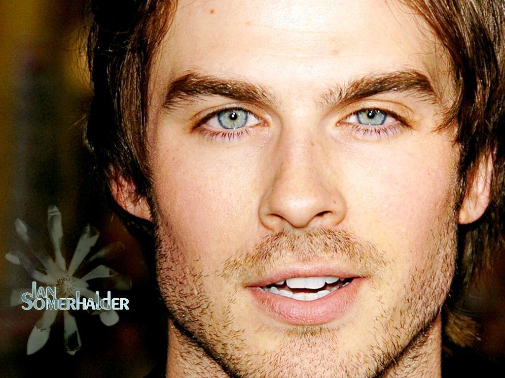 http://4.bp.blogspot.com/--JUVjU9hrPo/UH0gxvrWW6I/AAAAAAAABDY/JrODCFcZYyA/s1600/grey2.jpg