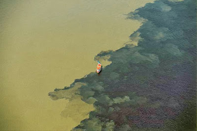 Yann Arthus-Bertrand