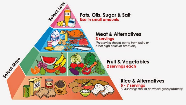 Worksheets Food Pyramid Guide health tips for today food guide pyramid natural pyramid