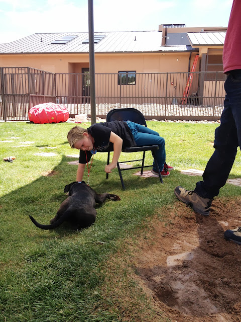 Best Friends Animal Society Sanctuary Kanab Utah