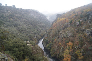 Tipos de técnicas específicas de restauración de riberas (1). Hikergoer