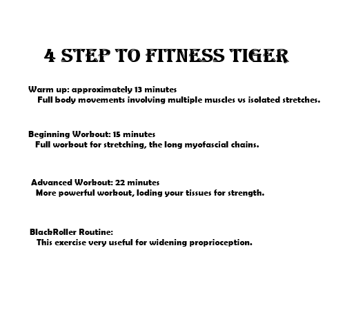 Tiger fitness coupon code