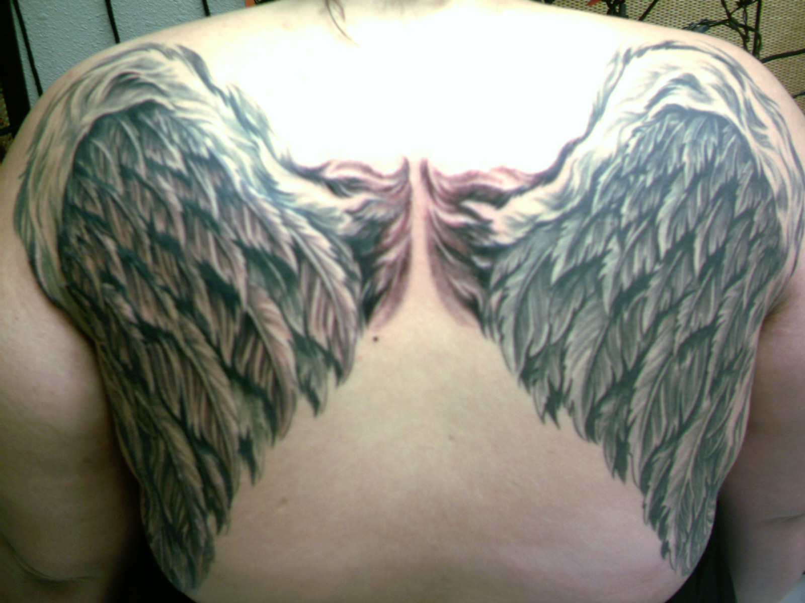 http://4.bp.blogspot.com/--KuCG0-fBBA/TxuWF2lARaI/AAAAAAAAAFs/mBeNbfPqIqY/s1600/simple+angel+wings+tattoo+84fg.jpg