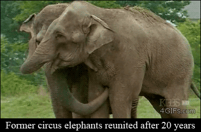 Awwdorable! Cutest Animal Pictures From the Week Awwdorable! Cutest Animal Pictures From the Week