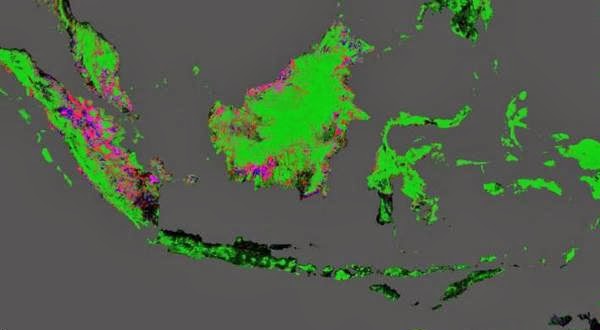 Peta Google Earth Menunjukkan Hutan Indonesia Makin Prihatin