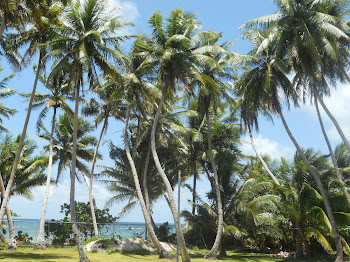 Edge of (Laura) Church lawn towards Lagoon